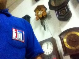 hoc-portfolio
